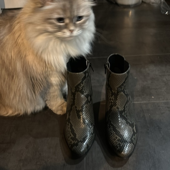 Calvin Klein snake print ankle boot - Picture 2 of 8